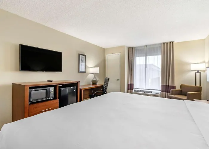 Comfort Inn & Suites St Pete - Clearwater International Airport
